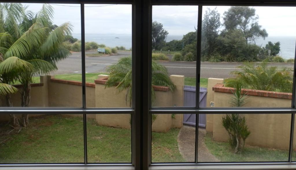Koala Tree Motel Port Macquarie Quarto foto